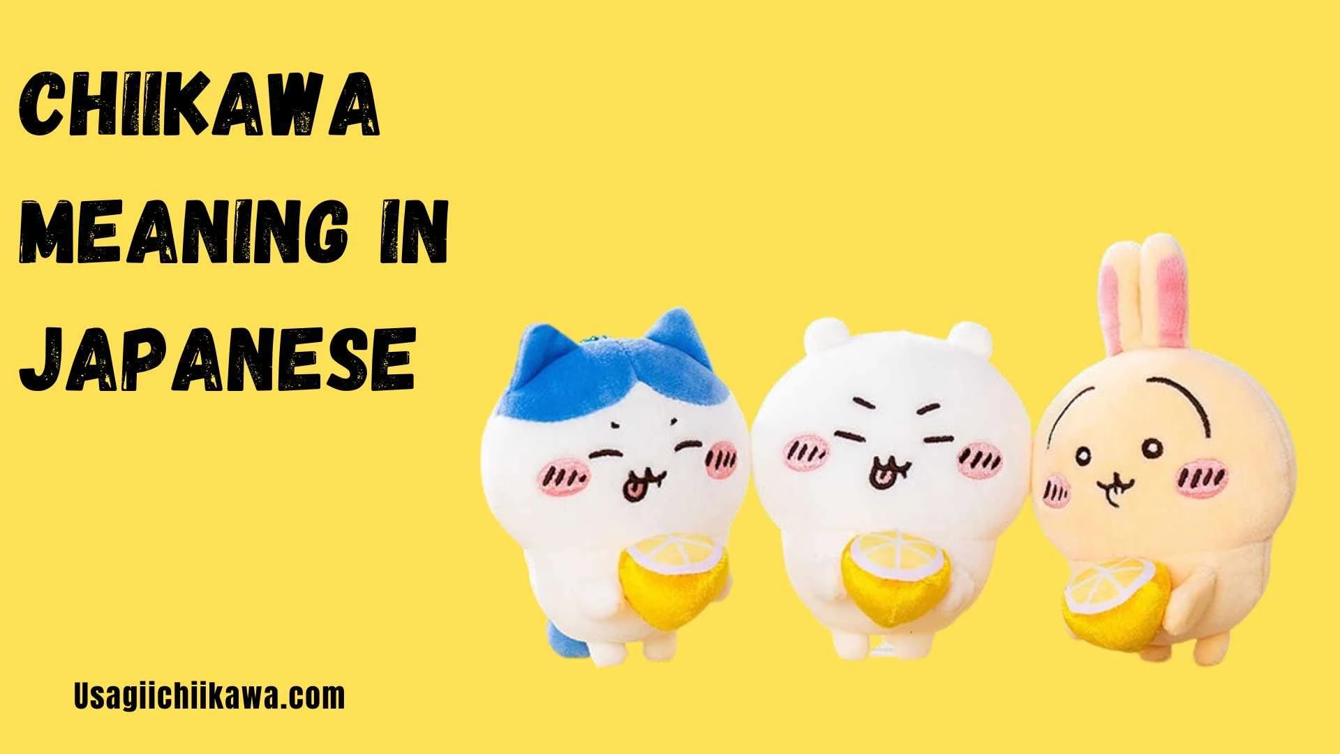 Chiikawa Meaning in Japanese